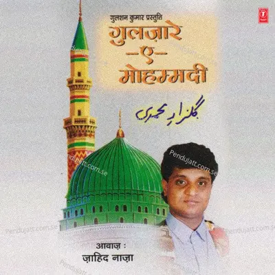 Dekhe Nazar Se Koi - Jahid Nazan album cover 