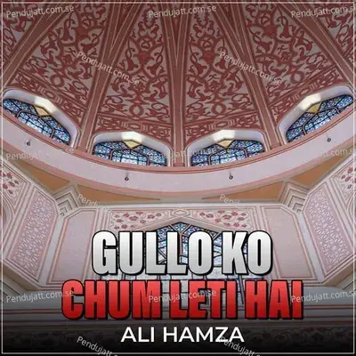 Gullo Ko Chum Leti Hai - Ali Hamza album cover 