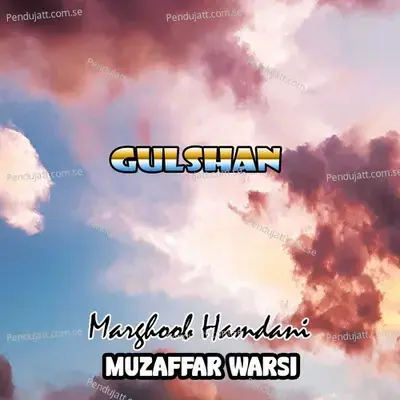 Payambar - Muzaffar Warsi album cover 