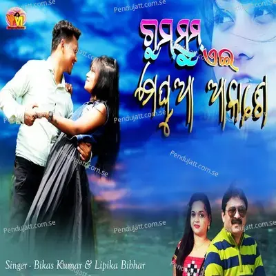 Gum Sum Ei Meghua Akashe - Bikas Kumar album cover 