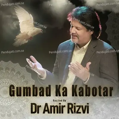 Gumbad Ka Kabotar - Dr. Amir Rizvi album cover 