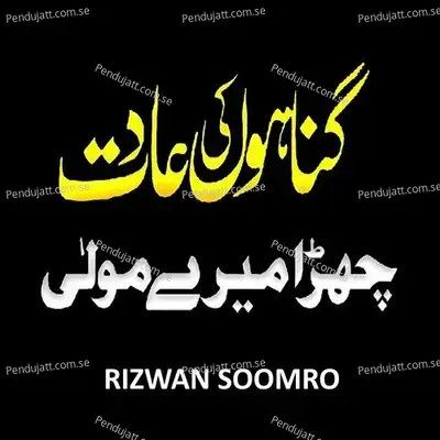 Gunaho Ki Adat Chura Mere Mola - Rizwan Soomro album cover 