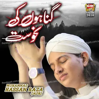 Gunaho Ki Nahosat - Muhammad Hassan Raza Qadri album cover 
