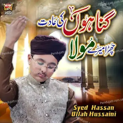 Gunahon Ki Aadat - Syed Hassan Ullah Hussaini album cover 