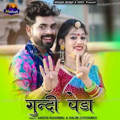 Gundi Peda - Sarita Kharwal album cover 