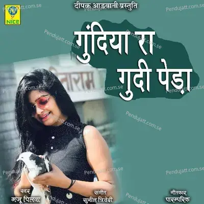 Gundiya Ra Gundi Peda - MANJU PILVA album cover 