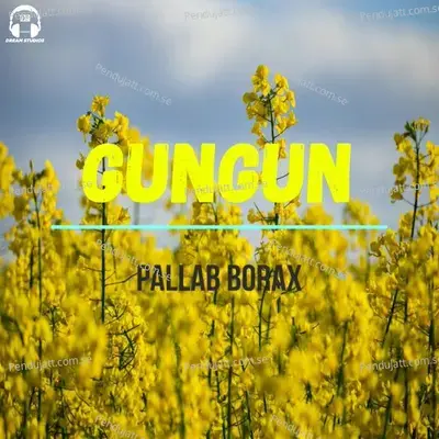 Gungun - Pallab Borax album cover 