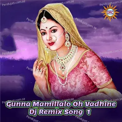 Gunna Mamillalo Oh Vadhine - Anil Kumar album cover 