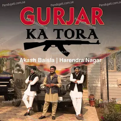  - Akash Baisla 