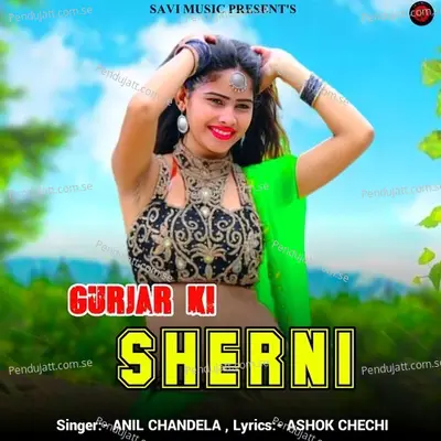 Gurjar Ki Sherni - Anil Chandela album cover 