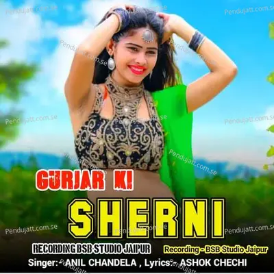 Gurjar Ki Sherni - Anil Chandela album cover 