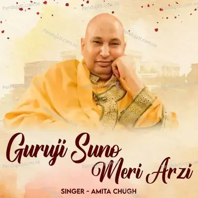 Guruji Suno Meri Arzi - Amita Chugh album cover 