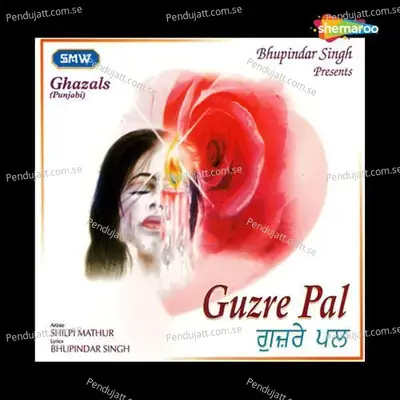 Guzre Pal - Shilpi Mathur cover album