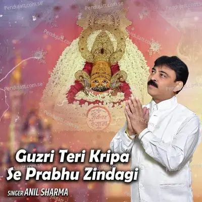 Guzri Teri Kripa Se Prabhu Zindagi - Anil Sharma album cover 