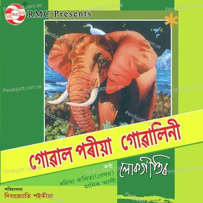 Kodai Mare Dhook - Rahima Kalita (Begum) album cover 