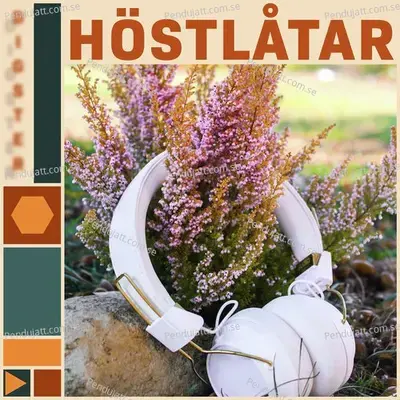 H  stl  tar 2021 - Various Artists cover album