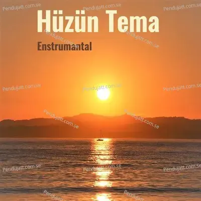 H  z  n Tema - Vedat Teber album cover 