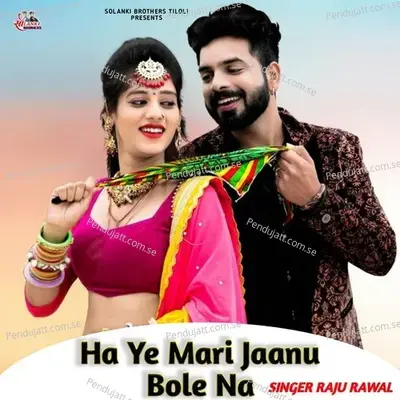 Ha Ye Mari Jaanu Bole Na - Raju Rawal album cover 