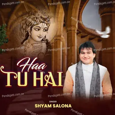 Haa Tu Hai - Shyam Salona album cover 