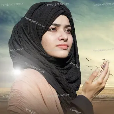 Haal E Dil Kisko - Laiba Fatima album cover 