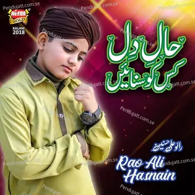 Haal E Dil - Rao Ali Hasnain album cover 