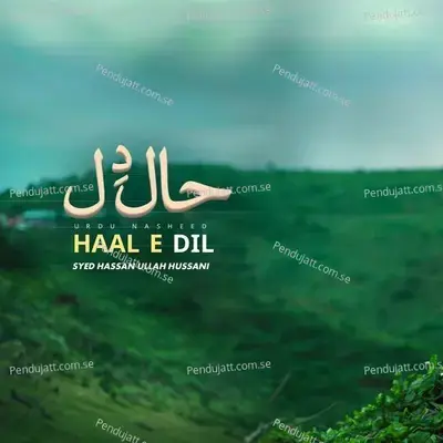 Haal E Dil - Syed Hassan Ullah Hussani album cover 