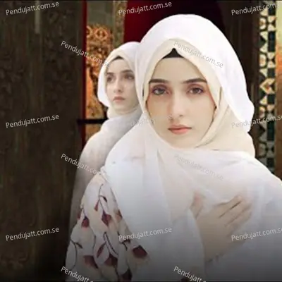 Haal E Dil - Syeda Areeba Fatima album cover 