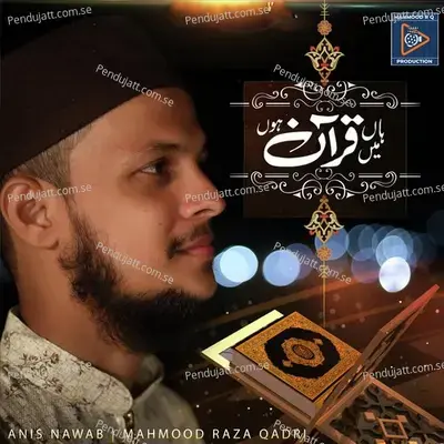 Haan Mai Quraan Hoon - Mahmood Raza Qadri album cover 