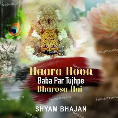 Haara Hu Baba Par Tujhpe Bharosa Hai - Shyam album cover 