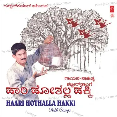 Mari Bahuda Neenu - B.R. Chaya album cover 