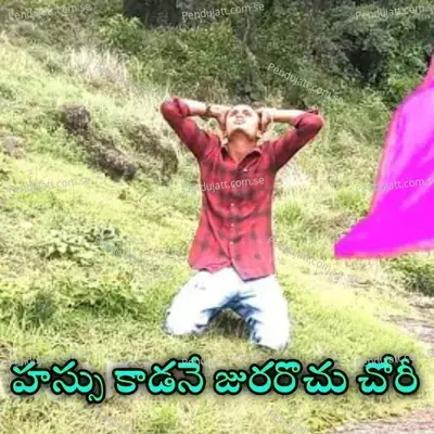 Haasu Kaadane Jurarochu Chori - Chitapata Karnakar album cover 