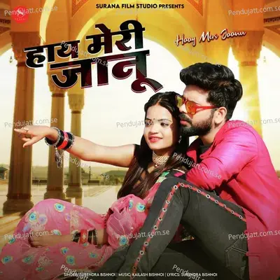 Haay Meri Jaanu - Surendra Bishnoi album cover 