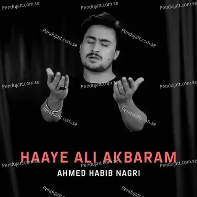 Haaye Ali Akbaram - Ahmed Habib Nagri album cover 