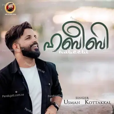 Allah Nee Allathe - Usman Kottakkal album cover 