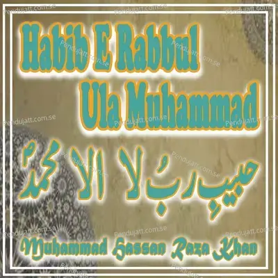 Habib E Rabbul Ula Muhammad - Muhammad Hassan Raza Khan album cover 