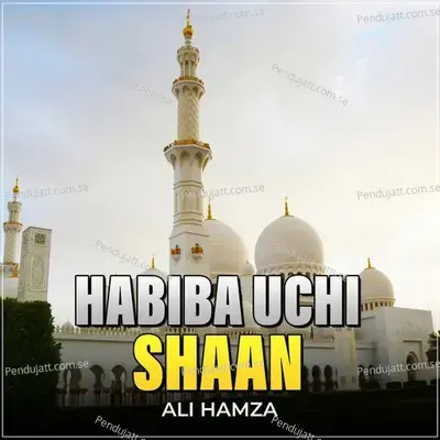 Habiba Uchi Shaan - Ali Hamza album cover 