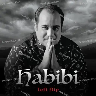 Habibi - Rahat Fateh Ali Khan album cover 