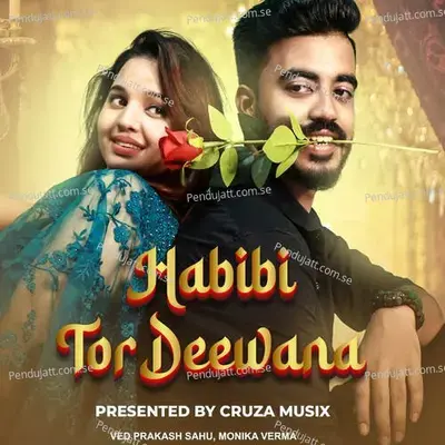 Habibi Tor Deewana - Ved Prakash Sahu album cover 