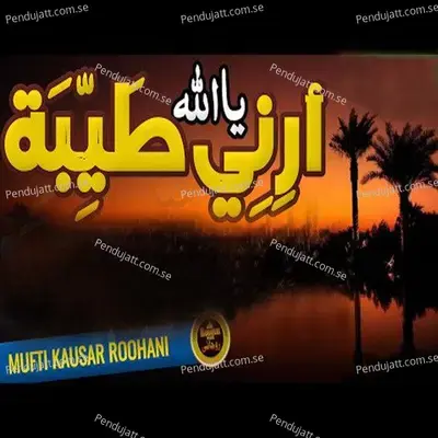 Habibi Ya Rasoolallah - Humayun Sadi album cover 