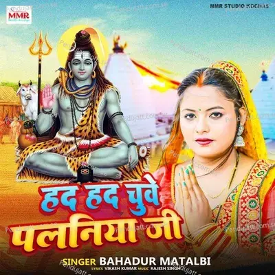 Had Had Chuye Palaniya Ji - Bahadur Matalbi album cover 