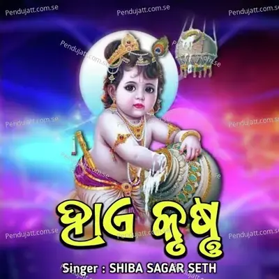 Hae Krishna - Shiva Sagar Seth album cover 