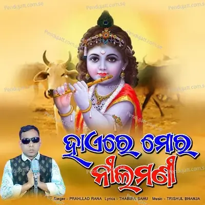 Haere Mor Nilamani - prahllad rana album cover 