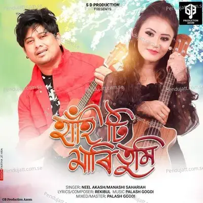 Hahi Ti Mari Tumi - Neel Akash album cover 