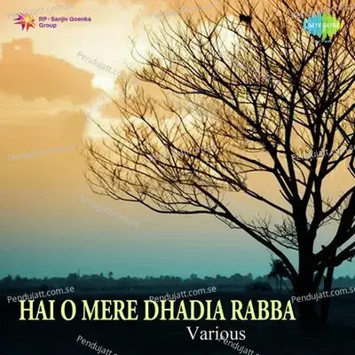 Heer - Suresh Raheja album cover 