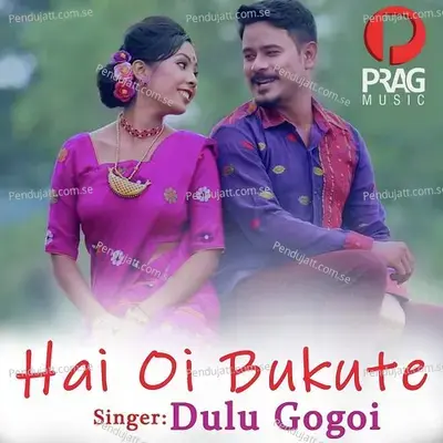 Hai Oi Bukute - Dulu Gogoi album cover 