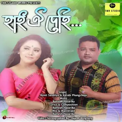 Hai Oi Dehi - Ronit Sandilya album cover 