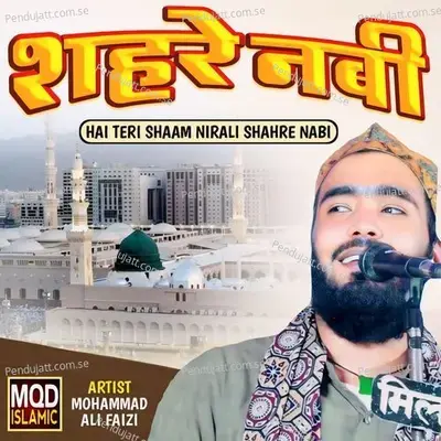 Hai Teri Shaam Nirali Shahre Nabi - Mohammad Ali Faizi album cover 