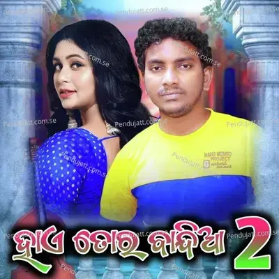 Hai Tor Bindia 2 - Bhamar Kumar album cover 