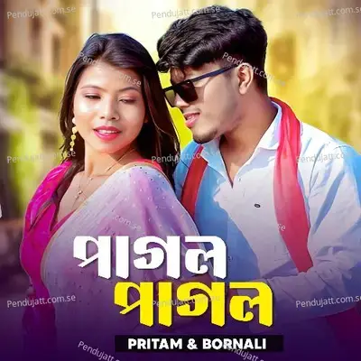 Hai Tor Premot Pagol Pagol - Barnali Barman album cover 