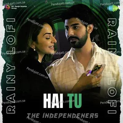 Hai Tu - Rainy Lofi - The Independeners album cover 